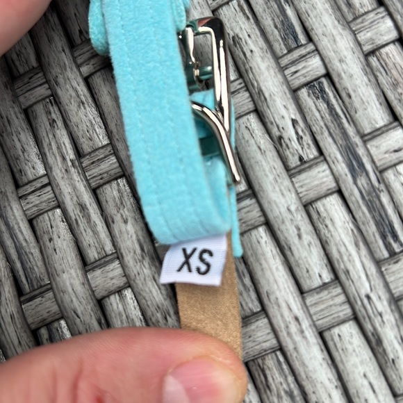 Susan Lanci Tiffany Blue Swarovski Dog Collar : Small - Picture 3 of 3